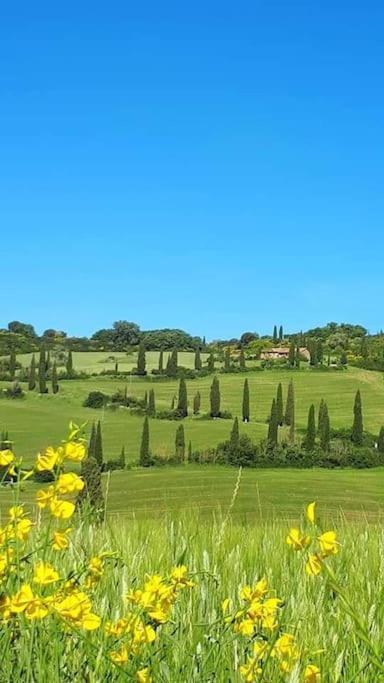 Villa Marta Contignano Экстерьер фото